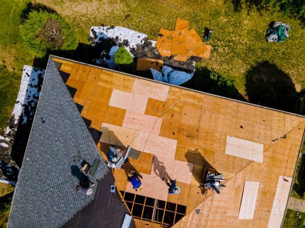 Best Residential Roof Replacement  in Waverly, NE