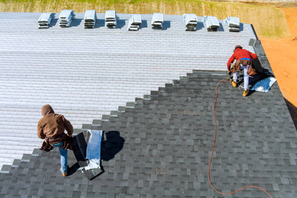 Best Roof Gutter Cleaning  in Waverly, NE