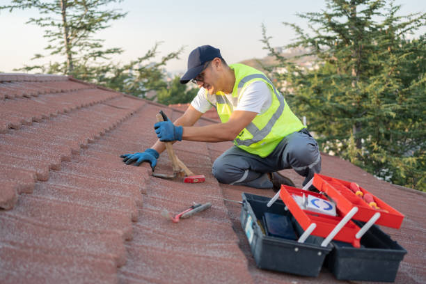 Best Local Roofing Companies  in Waverly, NE